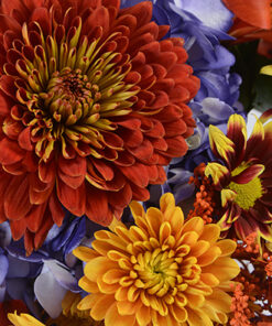 Bouquets