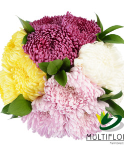 Clustered Mums