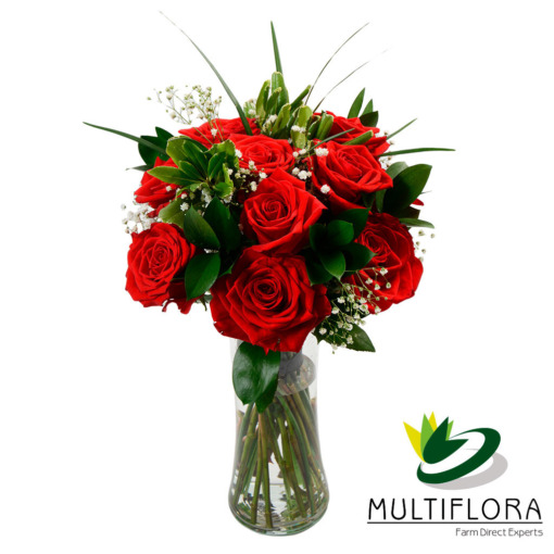 Dozen Roses Red + Gypsophilia | Multiflora