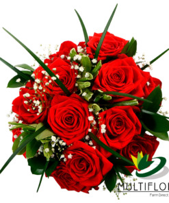 Dozen Roses Red + Gypsophilia