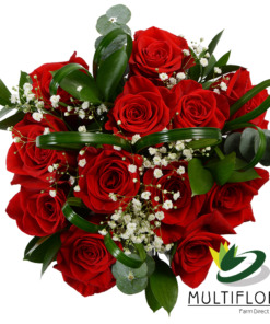 Dozen roses  (Red Heart)