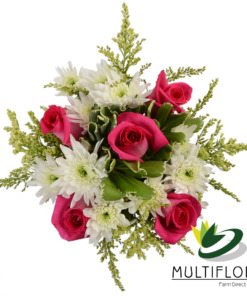 Five Dark Pink Roses