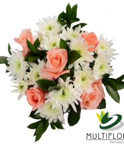 Five Light pink roses