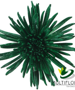 Glitter Forest Green