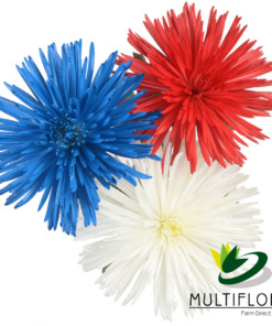 Patriotic Holidays Consumer