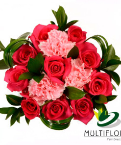 Ten Dark Pink Roses & Carnations