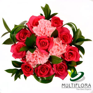 Ten Roses & Carnations