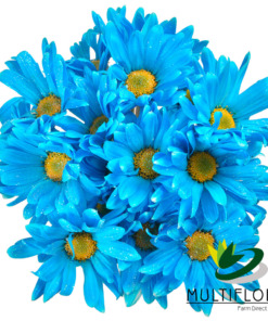 TNT+GLITTER AQUAMARINE