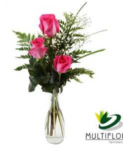 Treesome Dark pink Roses