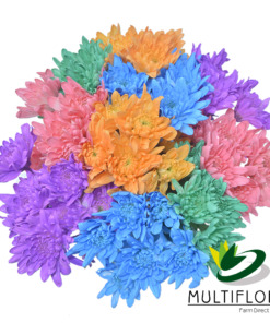 Consumer Bunches Painted Cushion Poms