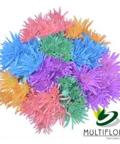 Consumer Bunches Painted Novelty Poms