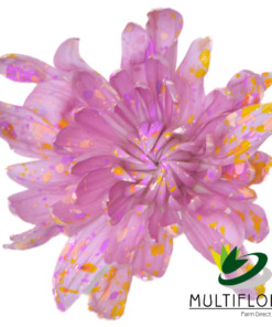 Lavender Confetti Cushion