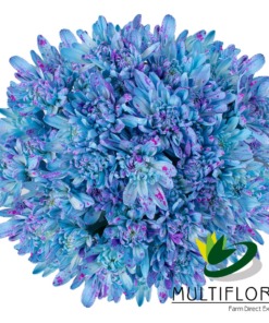 Blue Confetti Cushion