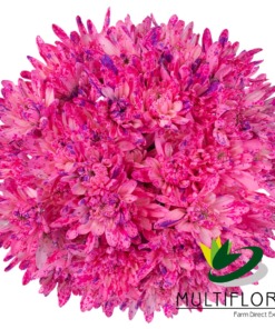 Dark Pink Confetti Cushion