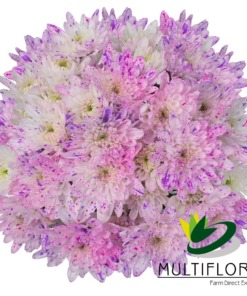 White - Pink Confetti Cushion