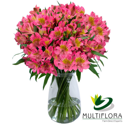 Amposta | Multiflora